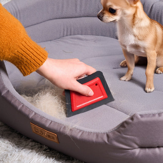 Brosse anti-poils réutilisable- Chiens & Chats